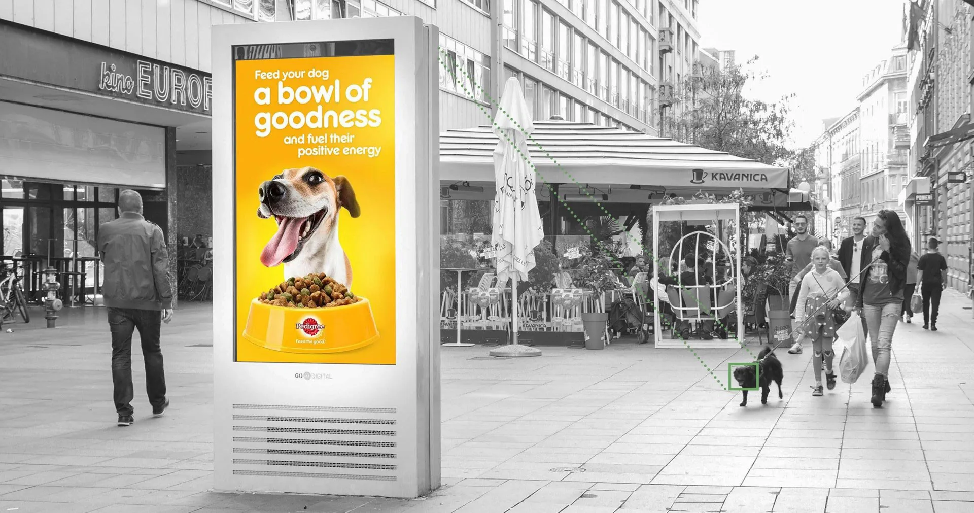 Pedigree i Dogvertising